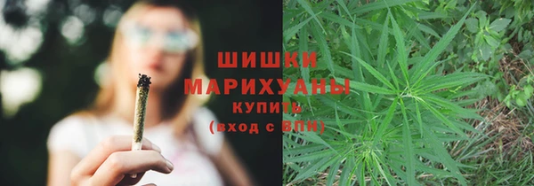 крисы Пестово
